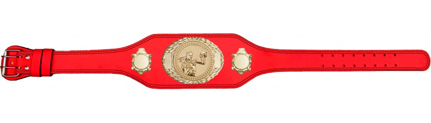 WOMEN'S BOXING CHAMPIONSHIP BELT-BUD295/G/FEMBOX-4 COLOURS